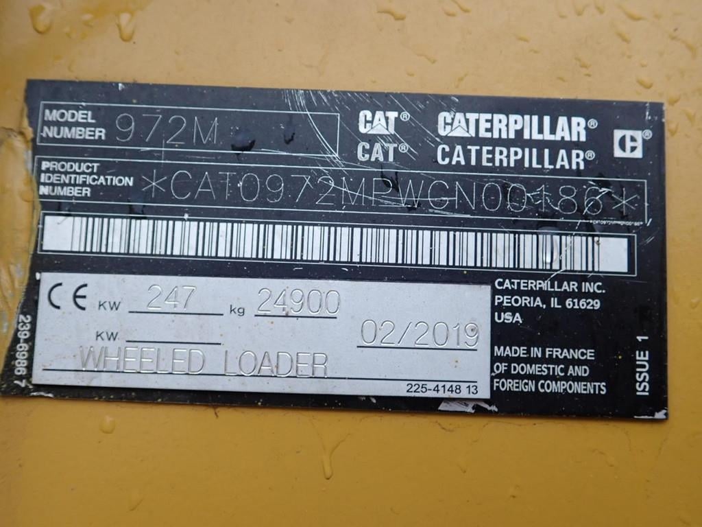 cat-972-m,ff3e85a5-17.jpg